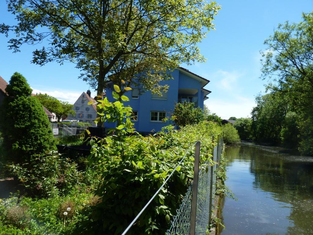 Hotel Muhleinsel Kenzingen Quarto foto